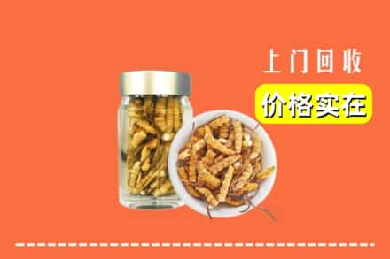 双塔区回收散虫草