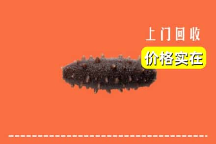 双塔区回收海参