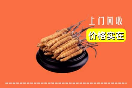 双塔区回收冬虫夏草