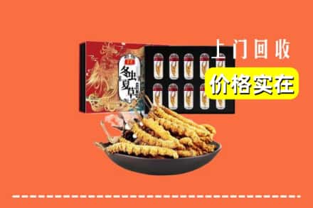 双塔区回收虫草